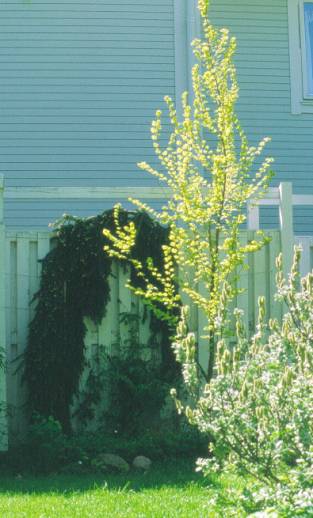 image018