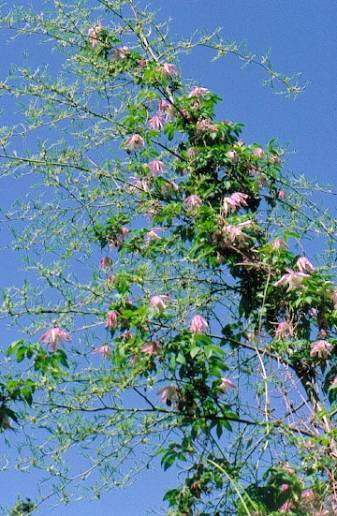 image020