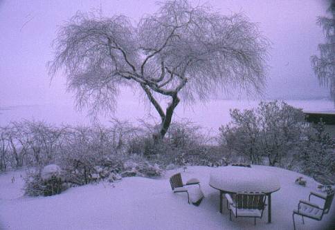 image002