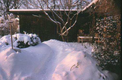 image006