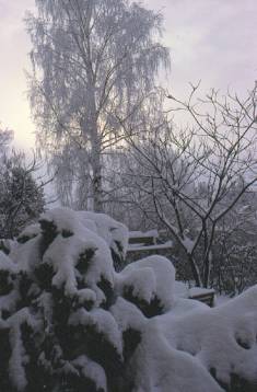 image012
