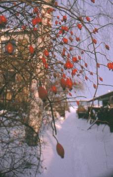 image014