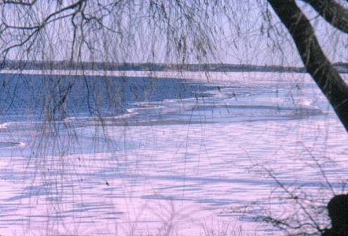 image004