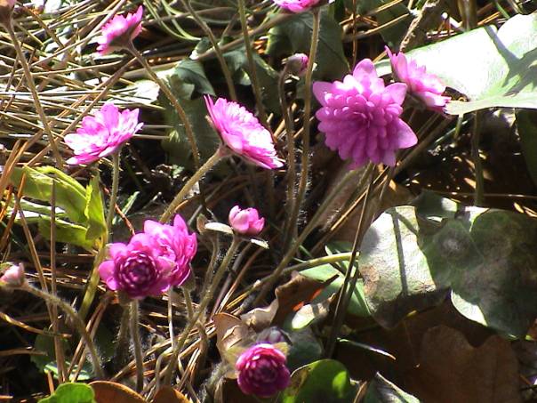 image034