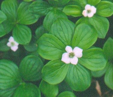 image028
