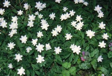 image014