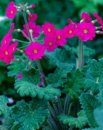 image010