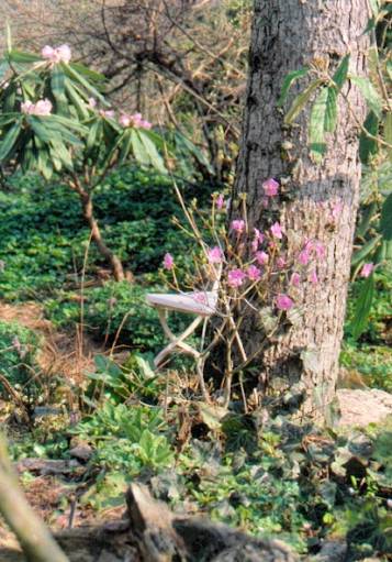 image012