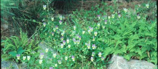 image012