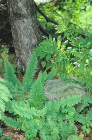 image014