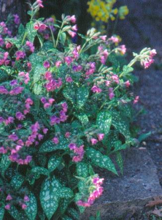 image026