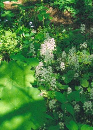 image020