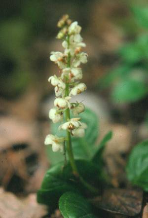 image022