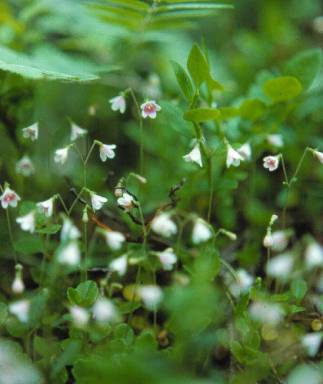 image024