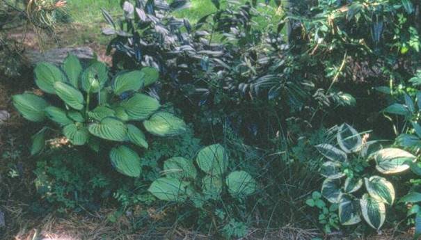 image026