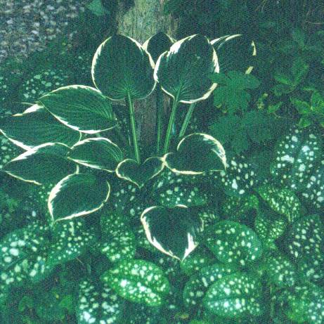 image028